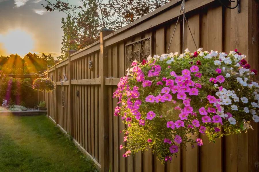 Professional Fence Contractor